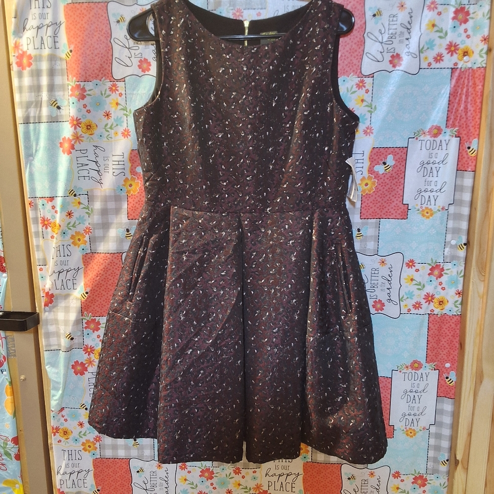 NWT TAYLOR ZIPPERED SLEEVELESS JEWEL NECK ABOVE KNEE FIT + FLARE DRESS